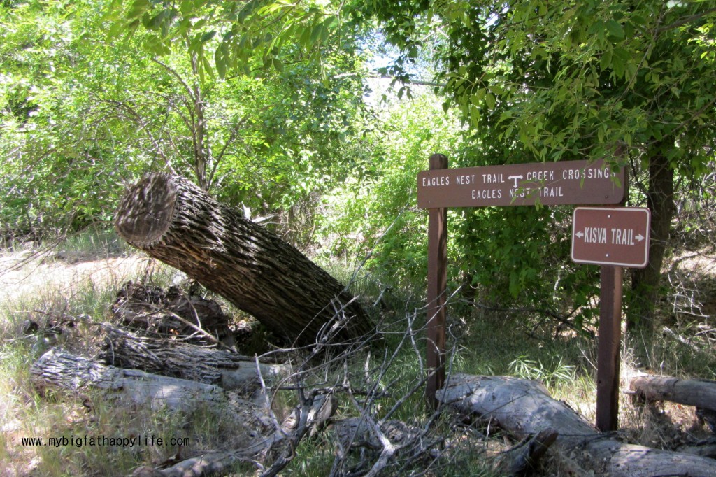 Exploring Red Rock State Park in Sedona, Arizona | mybigfathappylife.com