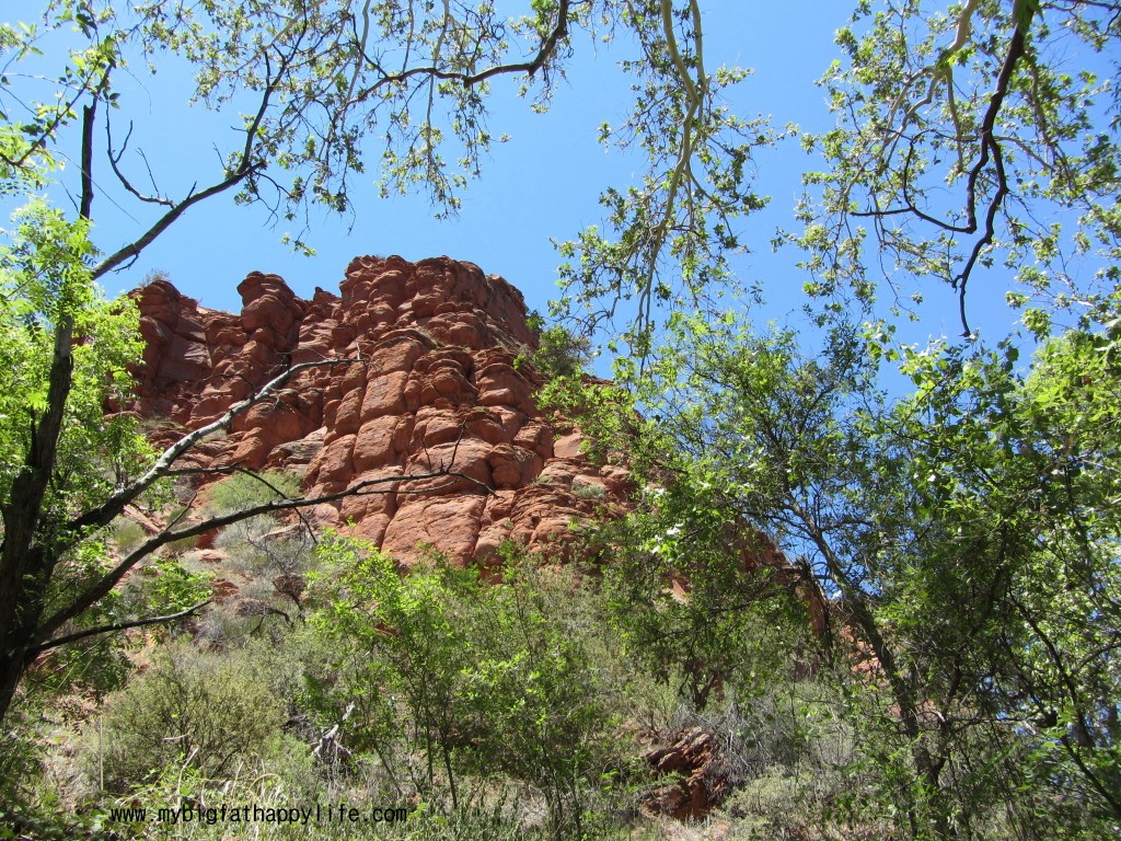 Exploring Red Rock State Park in Sedona, Arizona | mybigfathappylife.com