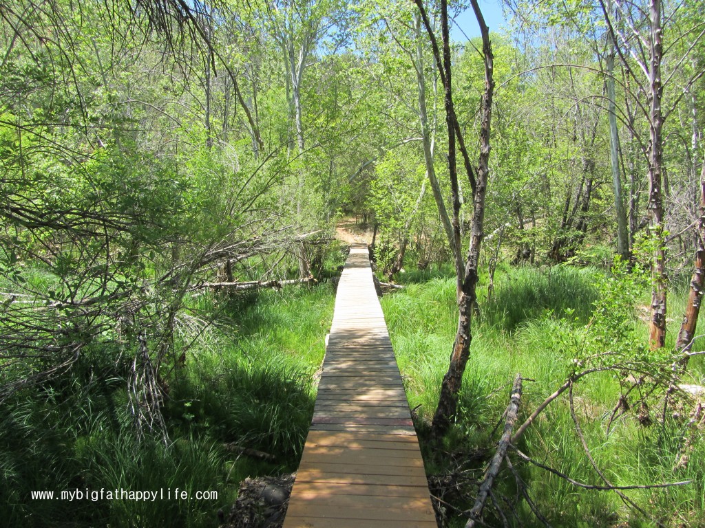 Exploring Red Rock State Park in Sedona, Arizona | mybigfathappylife.com