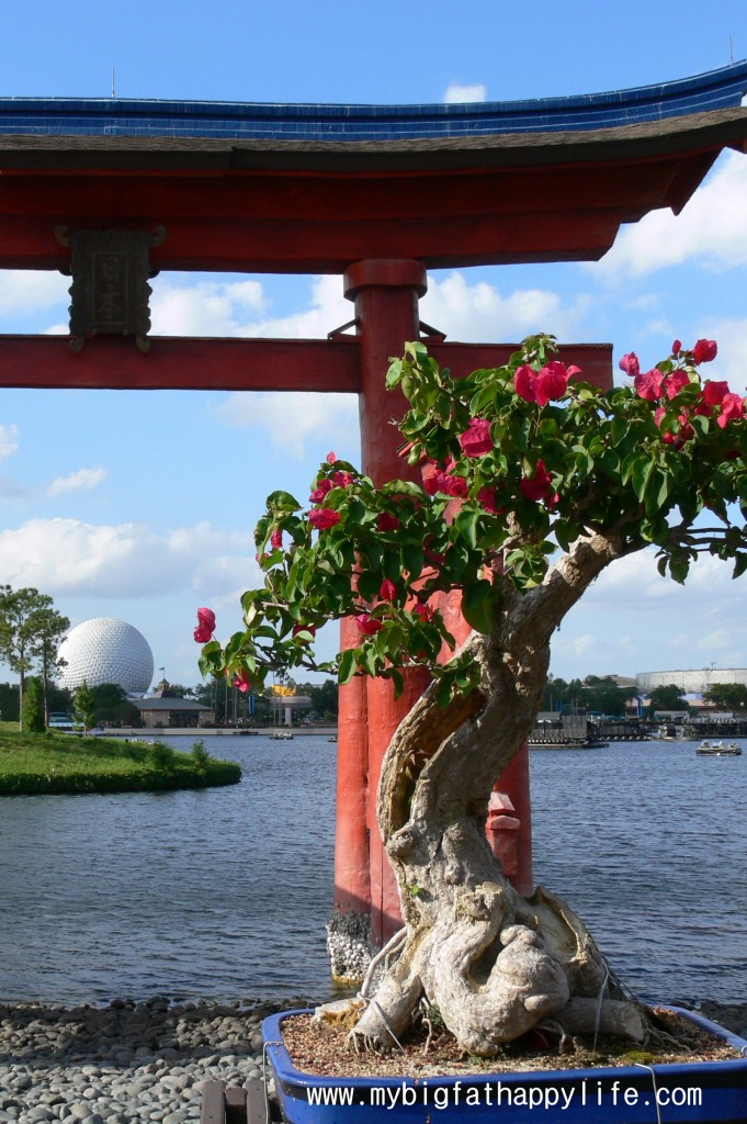 Epcot's International Flower and Garden Festival Tips | mybigfathappylife.com