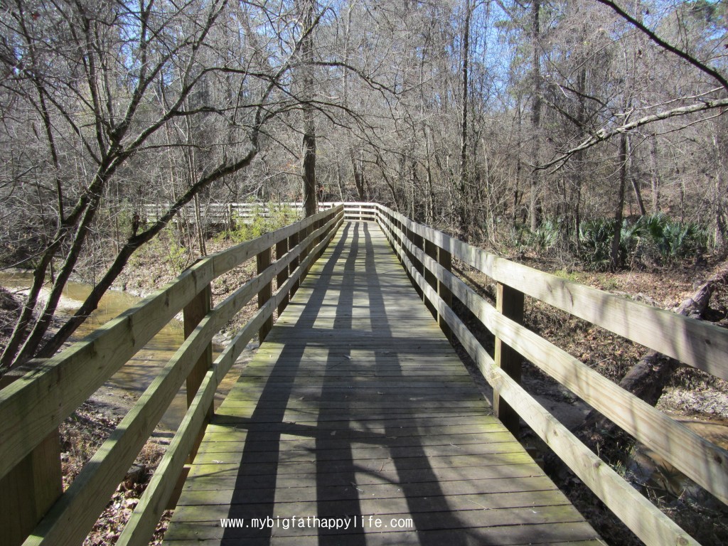 Discovering Louisiana: Port Hudson State Historic Site in Jackson | mybigfathappylife.com