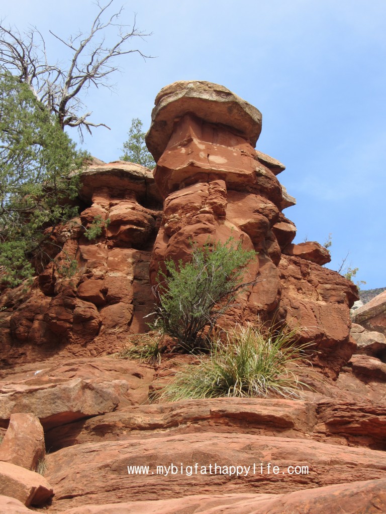 Slide Rock State Park near Sedona, Arizona | mybigfathappylife.com