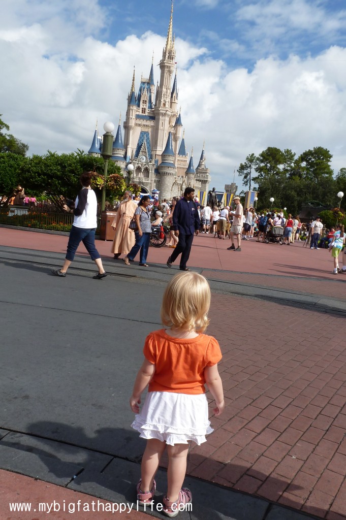 Cinderella's Castle Photo Ideas at Magic Kingdom, Disney World | mybigfathappylife.com