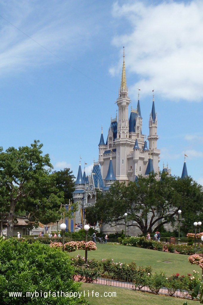 Cinderella's Castle Photo Ideas at Magic Kingdom, Disney World | mybigfathappylife.com