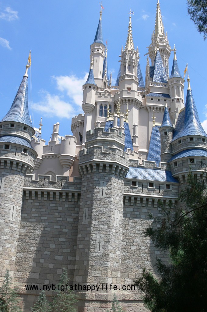 Cinderella's Castle Photo Ideas at Magic Kingdom, Disney World | mybigfathappylife.com