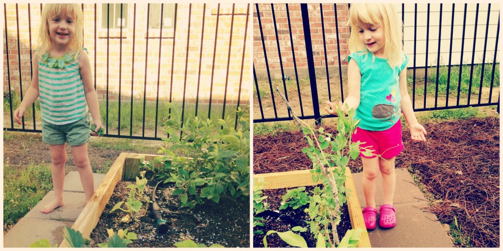 gardening with a toddler | mybigfathappylife.com