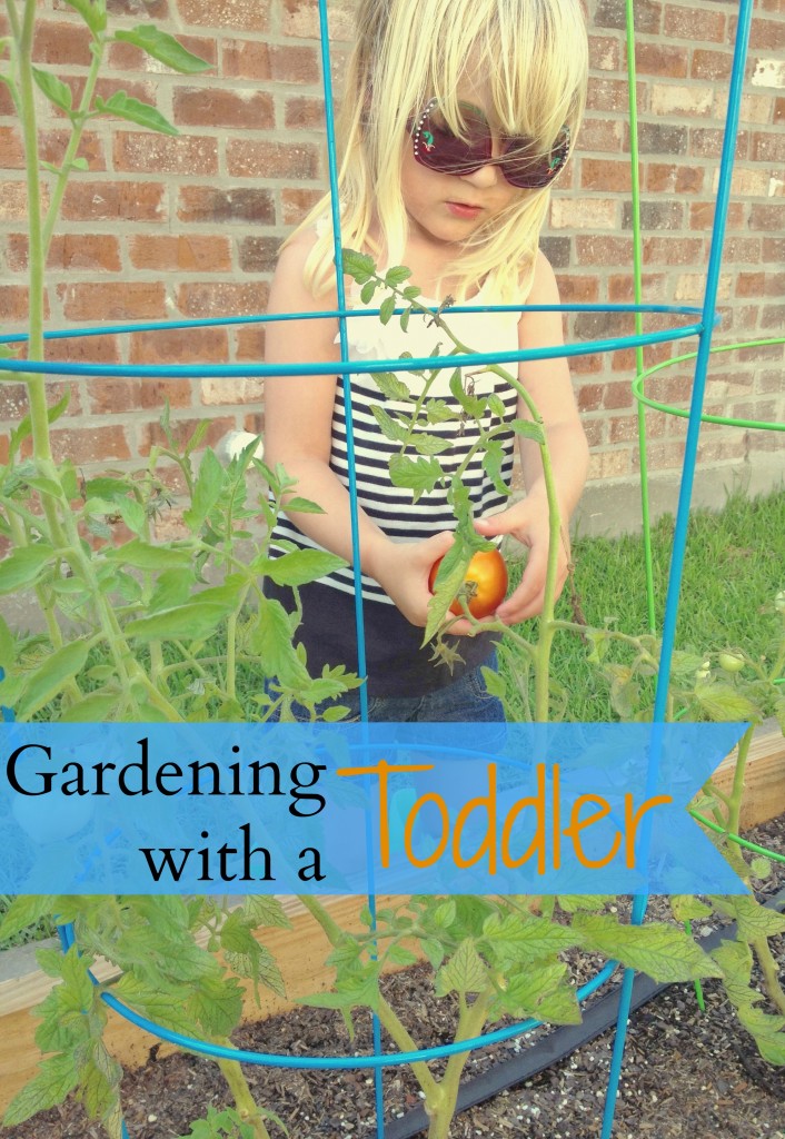 gardening with a toddler | mybigfathappylife.com