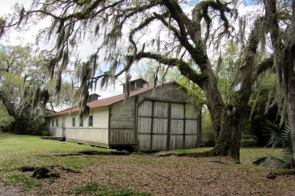 Avery Island: Tabasco Factory and Jungle Gardens #averyisland #louisiana #tabasco | mybigfathappylife.com