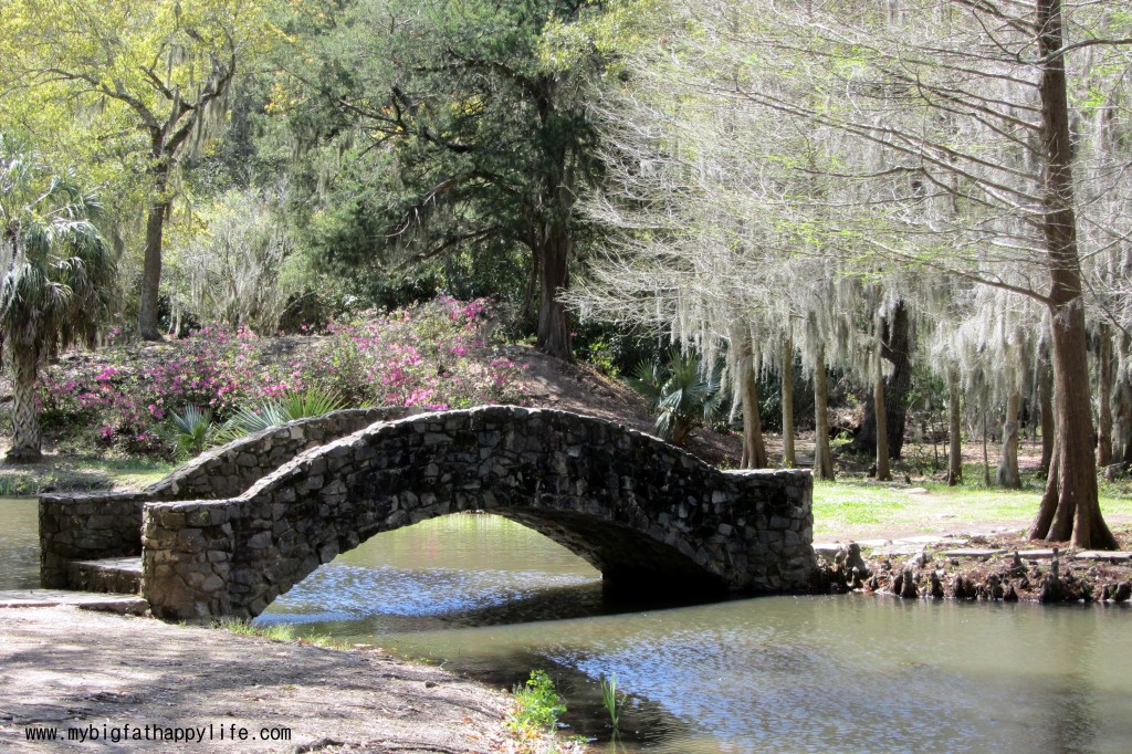 Avery Island: Tabasco Factory and Jungle Gardens #averyisland #louisiana #tabasco | mybigfathappylife.com