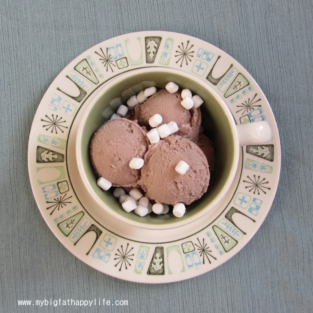 Skinny Hot Chocolate Ice Cream | mybigfathappylife.com