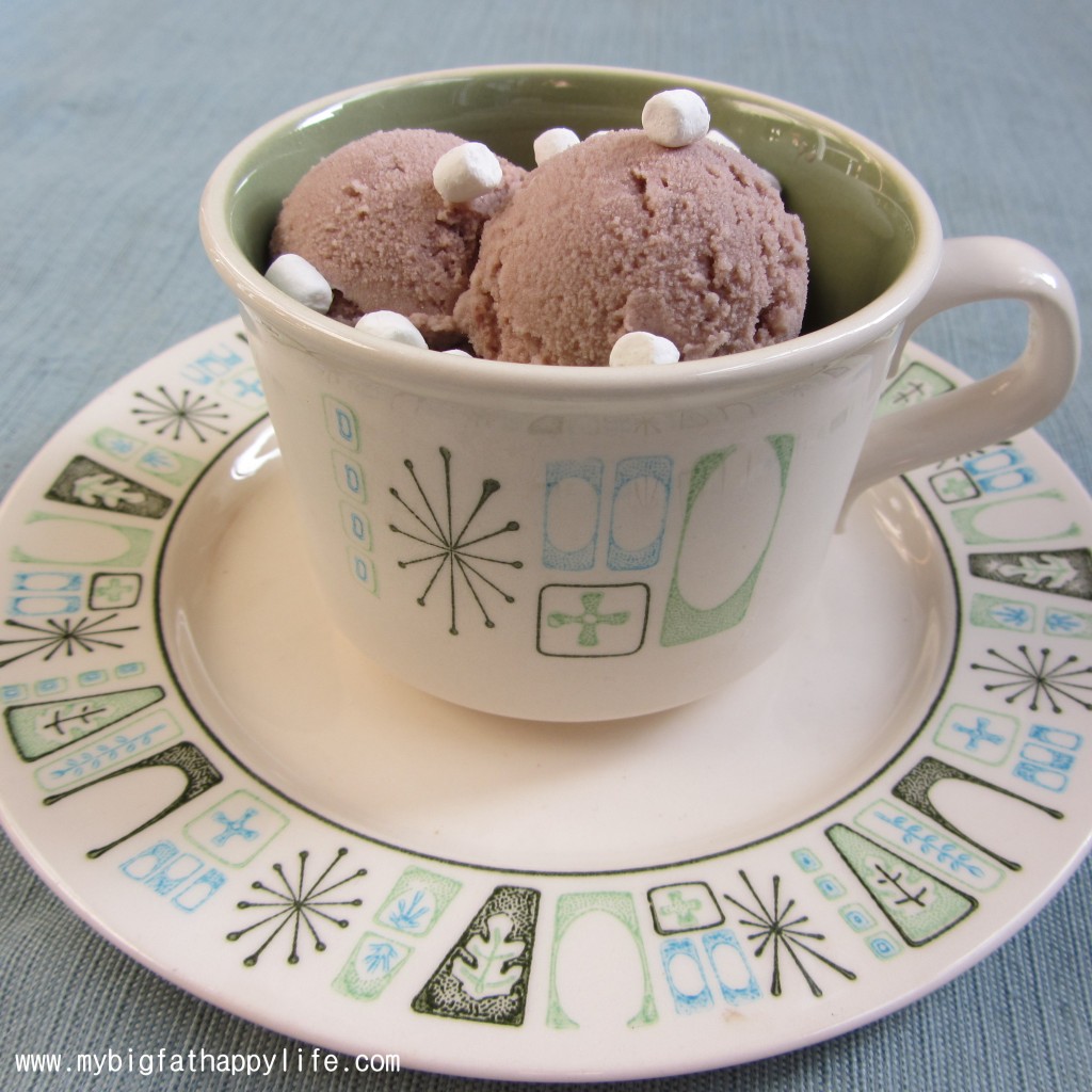 Skinny Hot Chocolate Ice Cream | mybigfathappylife.com