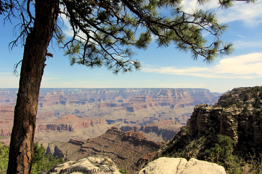 Grand Canyon -  Tusayan Ruin, Desert View Point and Watchtower #Arizona | mybigfathappylife.com