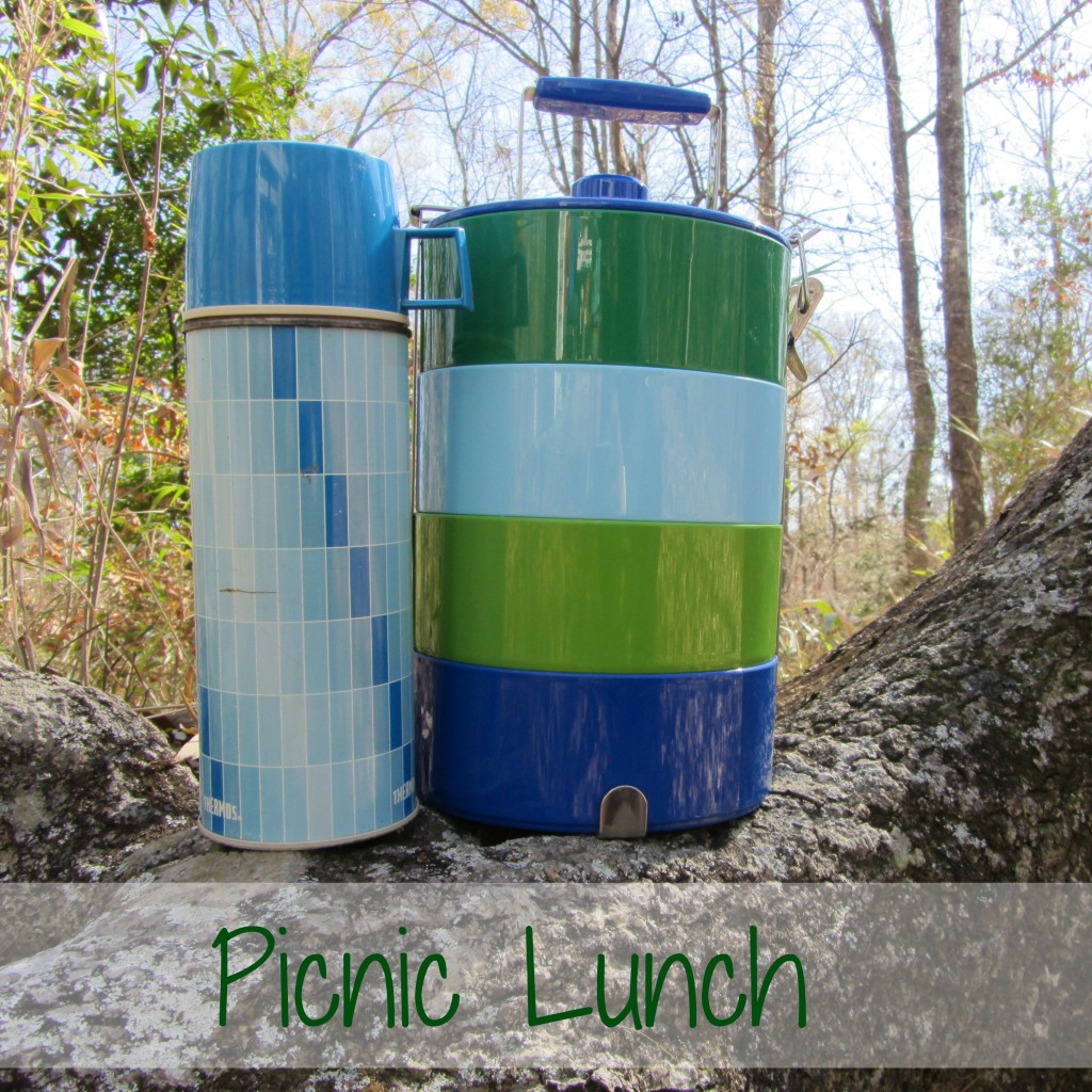 Why We Love Picnic Lunches | mybigfathappylife.com