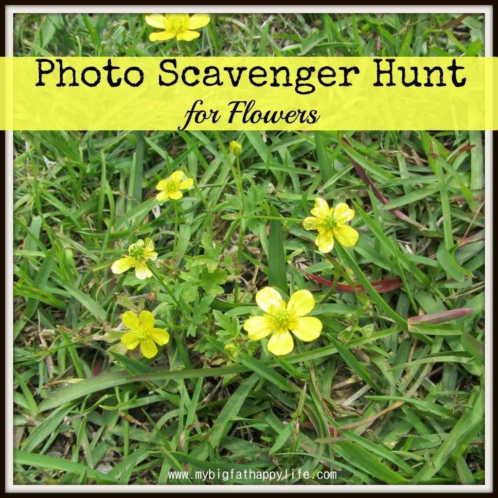 Photo Scavenger Hunt | mybigfathappylife.com