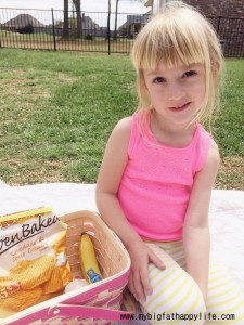 Why We Love Picnic Lunches | mybigfathappylife.com