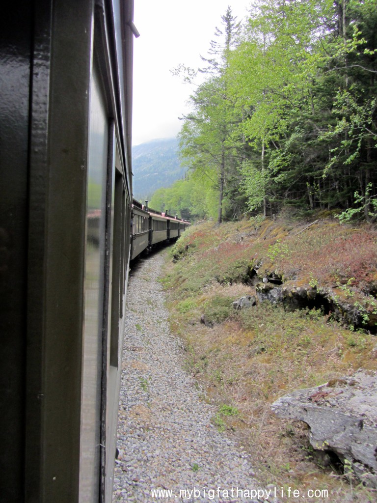 White Pass Summit Train Skagway Alaska #disneycruise #alaska | mybigfathappylife.com