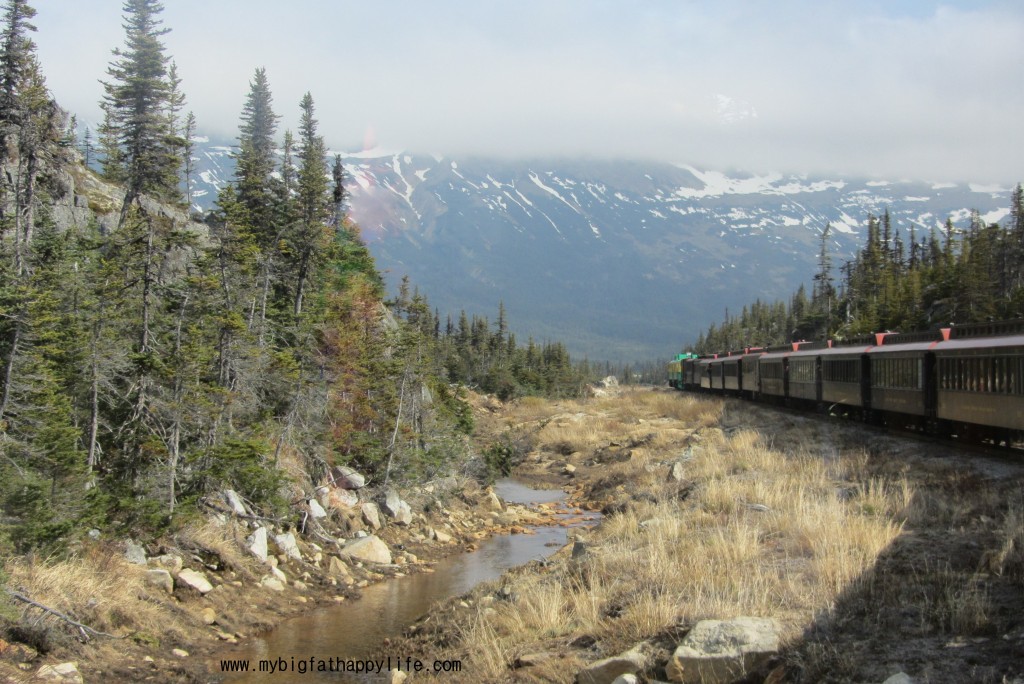 White Pass Summit Train Skagway Alaska #disneycruise #alaska | mybigfathappylife.com