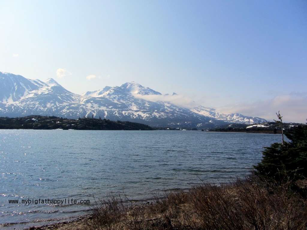 White Pass Summit Train Skagway Alaska #disneycruise #alaska | mybigfathappylife.com