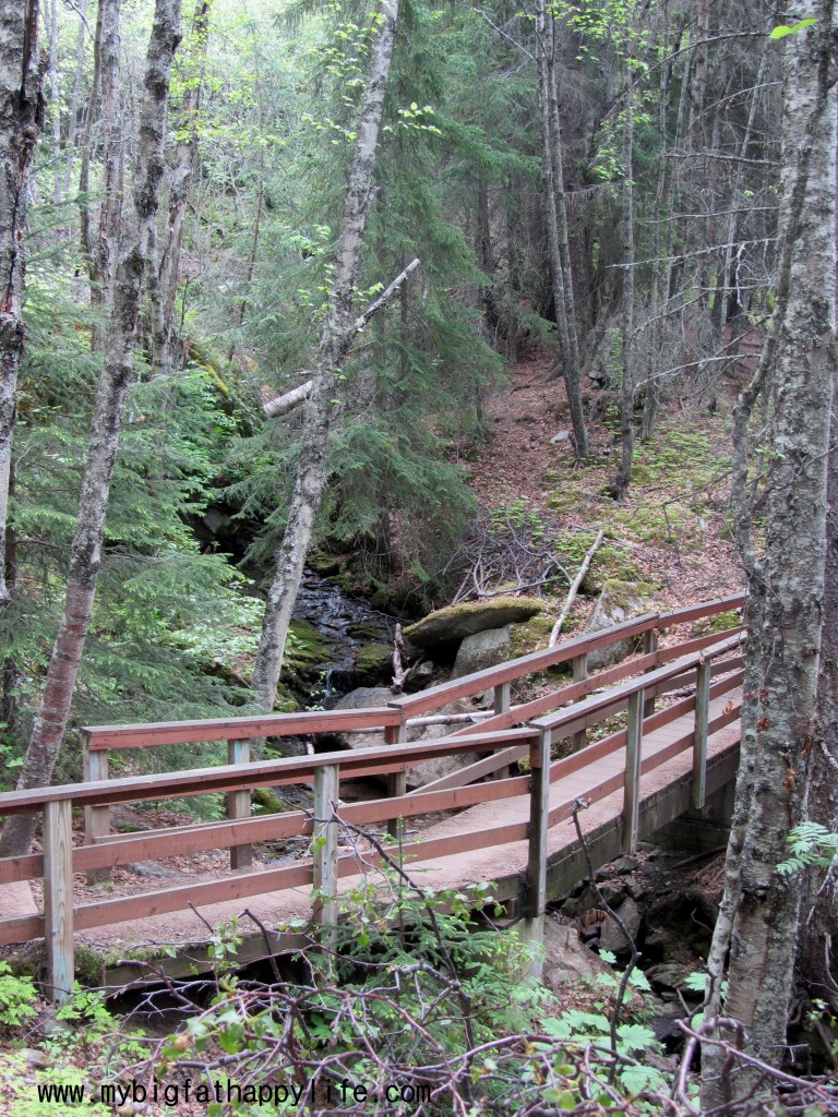 Skagway Alaska #disneycruise #alaska | mybigfathappylife.com