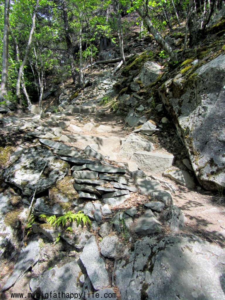 Skagway Alaska #disneycruise #alaska | mybigfathappylife.com