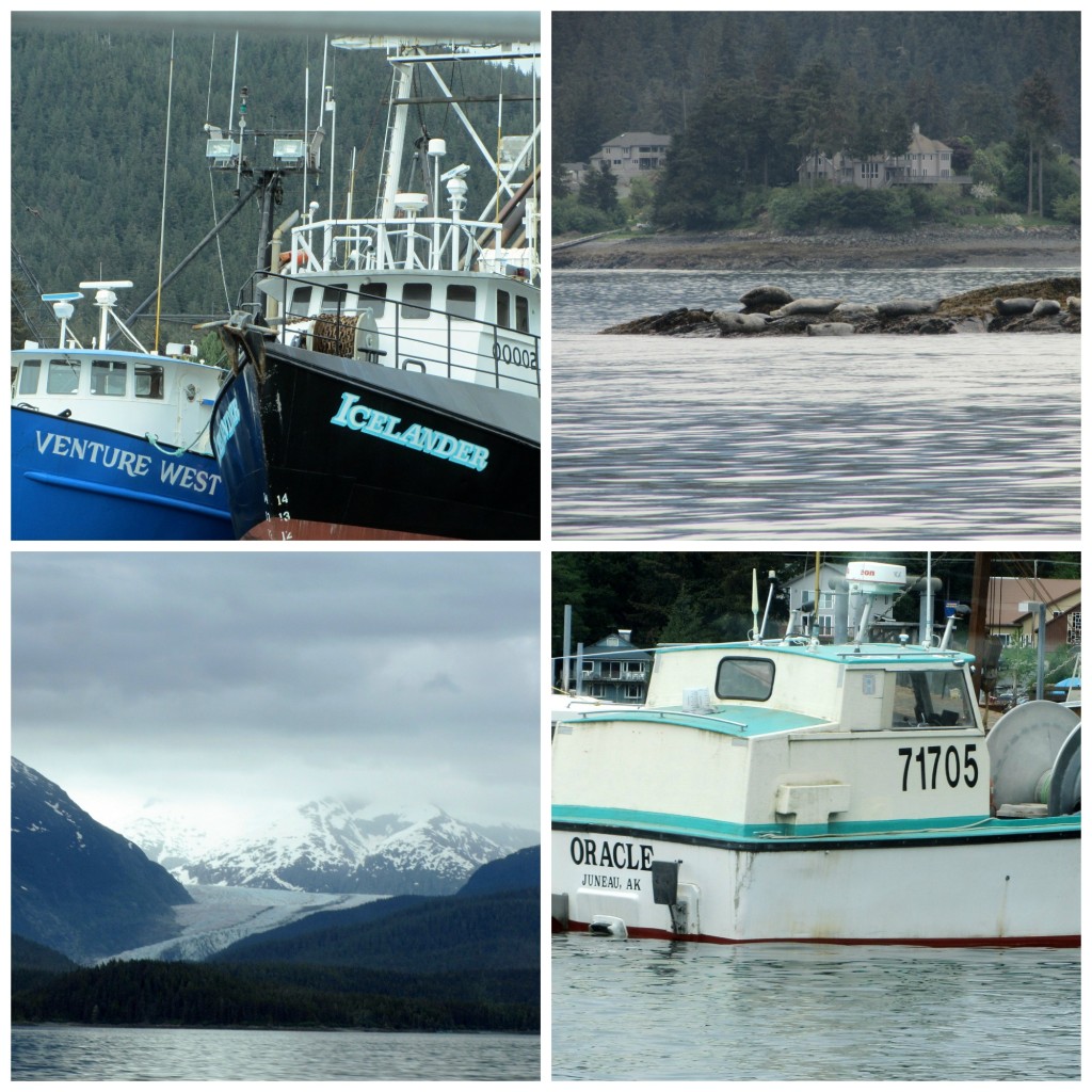 Whales, Whales and Glaciers in Juneau, Alaska #juneau #whalewatching #orca #disneycruise #Alaska | mybigfathappylife.com