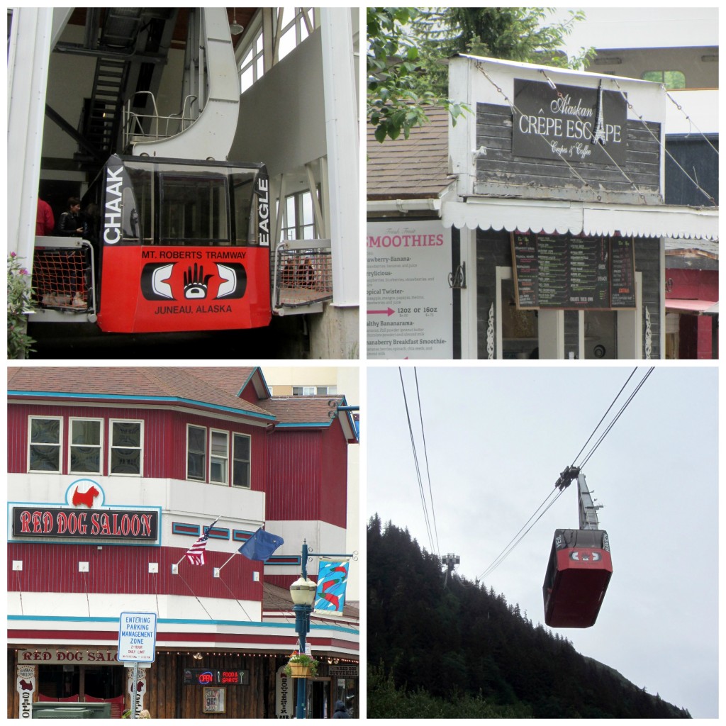 Whales, Whales and Glaciers in Juneau, Alaska #juneau #whalewatching #orca #disneycruise #Alaska | mybigfathappylife.com