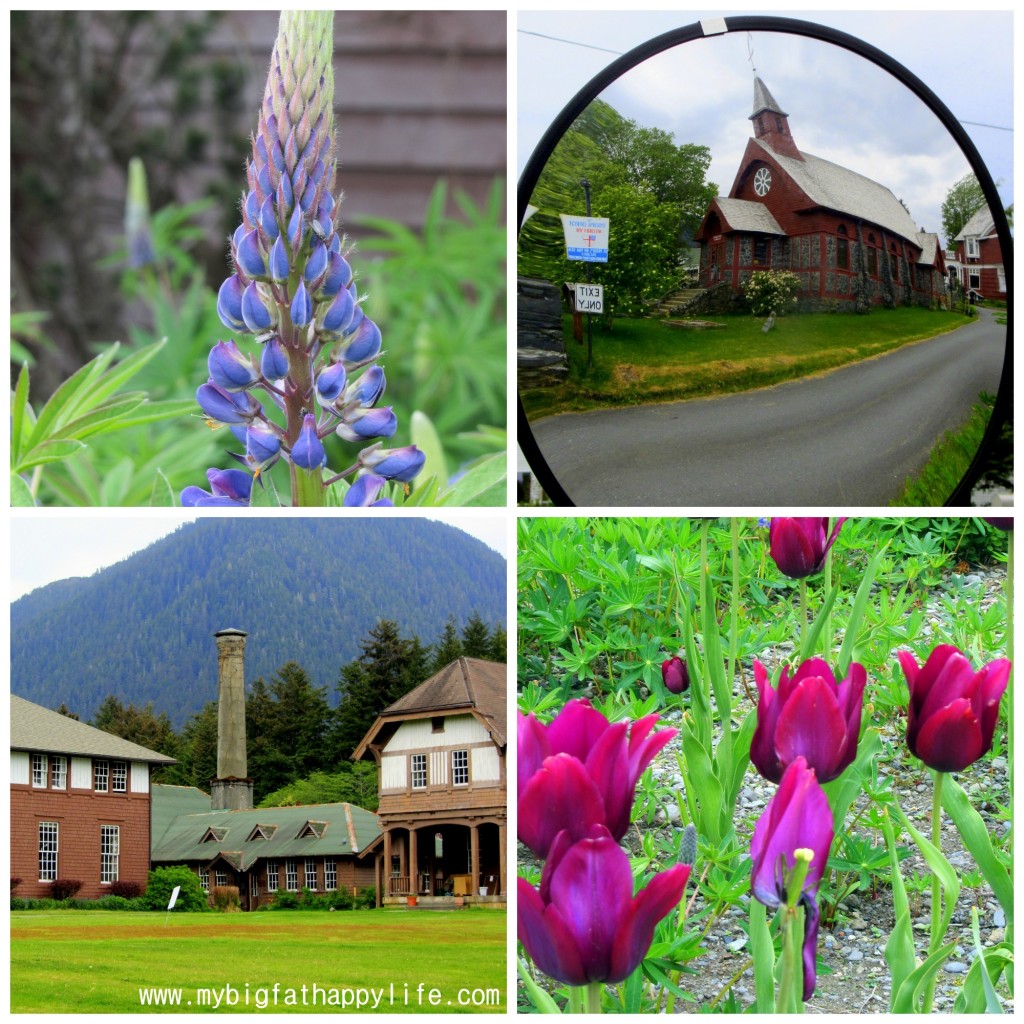 10 Things To Do in Sitka, Alaska | mybigfathappylife.com