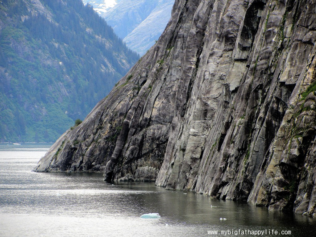 Cruising Tracy Arm Fjord, Alaska #alaska #glacier #iceberg | mybigfathappylife