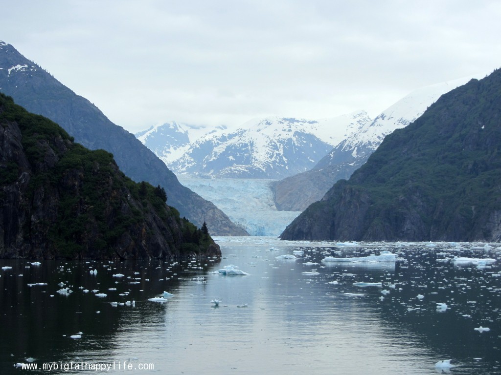 Cruising Tracy Arm Fjord, Alaska #alaska #glacier #iceberg | mybigfathappylife