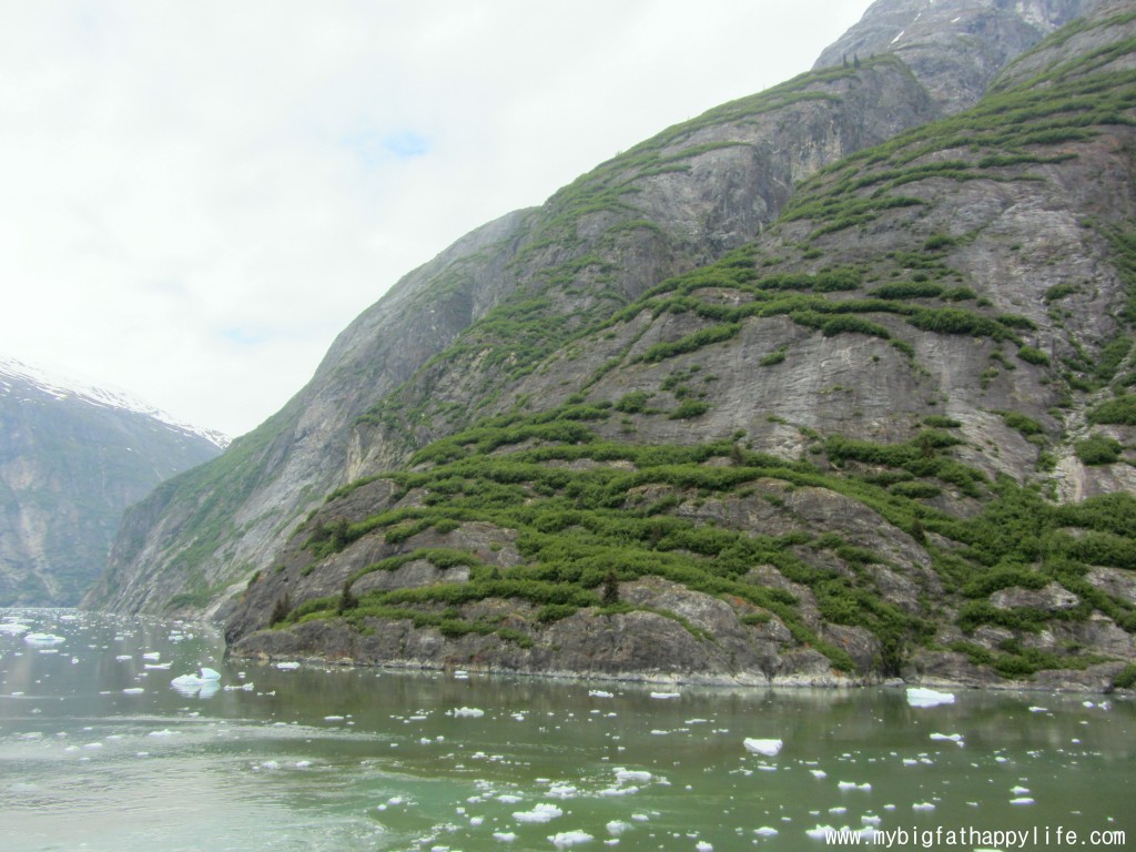 Cruising Tracy Arm Fjord, Alaska #alaska #glacier #iceberg | mybigfathappylife