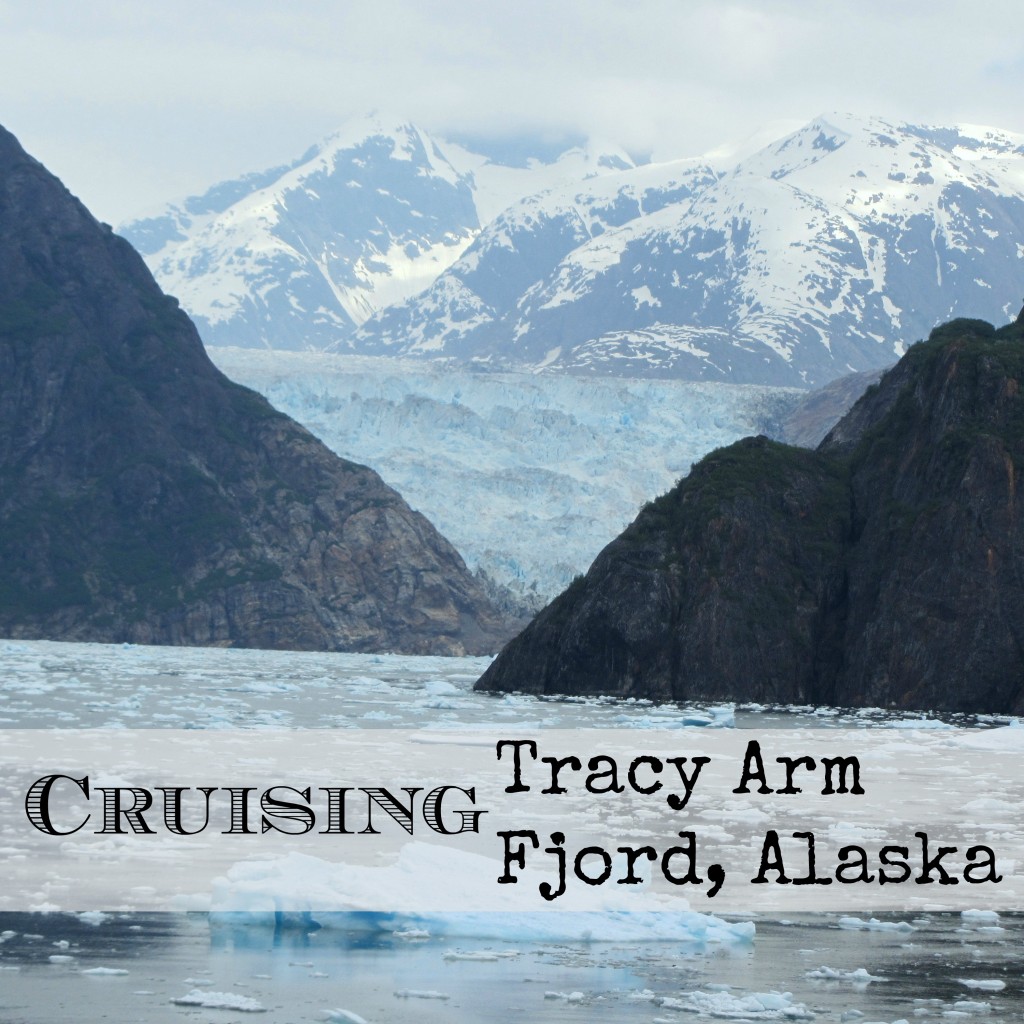 Cruising Tracy Arm Fjord, Alaska #alaska #glacier #iceberg | mybigfathappylife