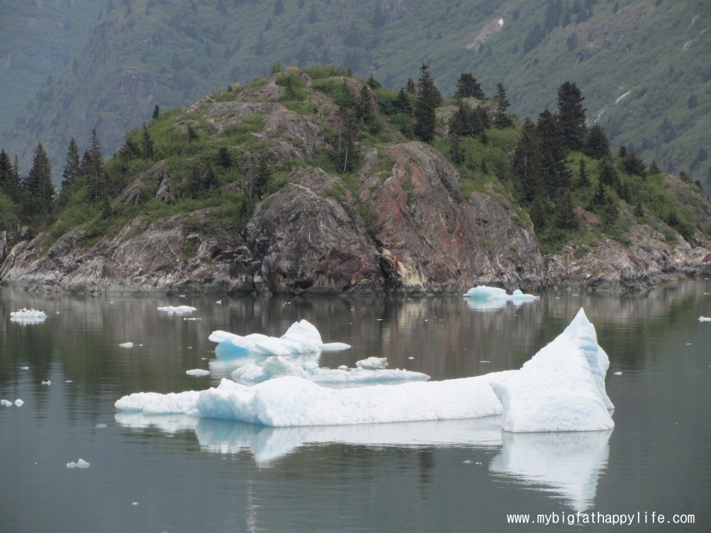 Cruising Tracy Arm Fjord, Alaska #alaska #glacier #iceberg | mybigfathappylife