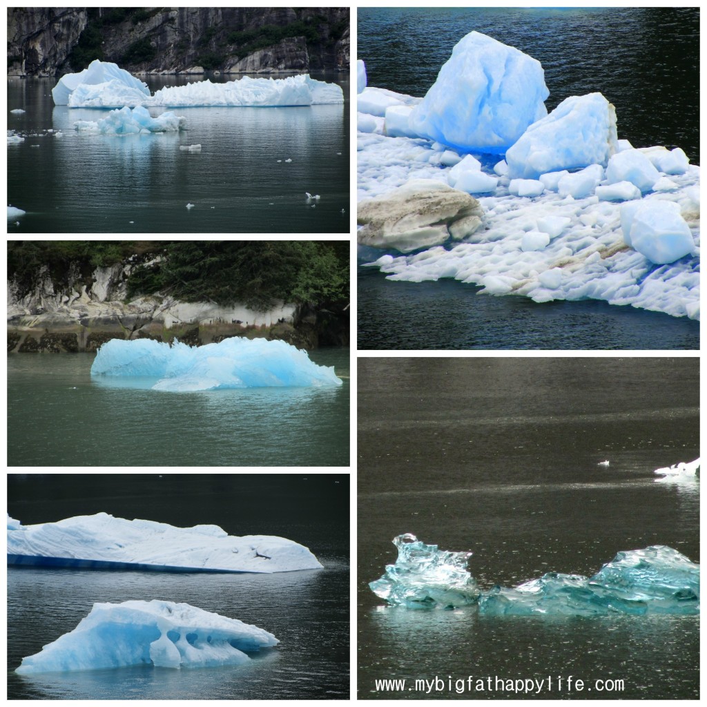 Cruising Tracy Arm Fjord, Alaska #alaska #glacier #iceberg | mybigfathappylife