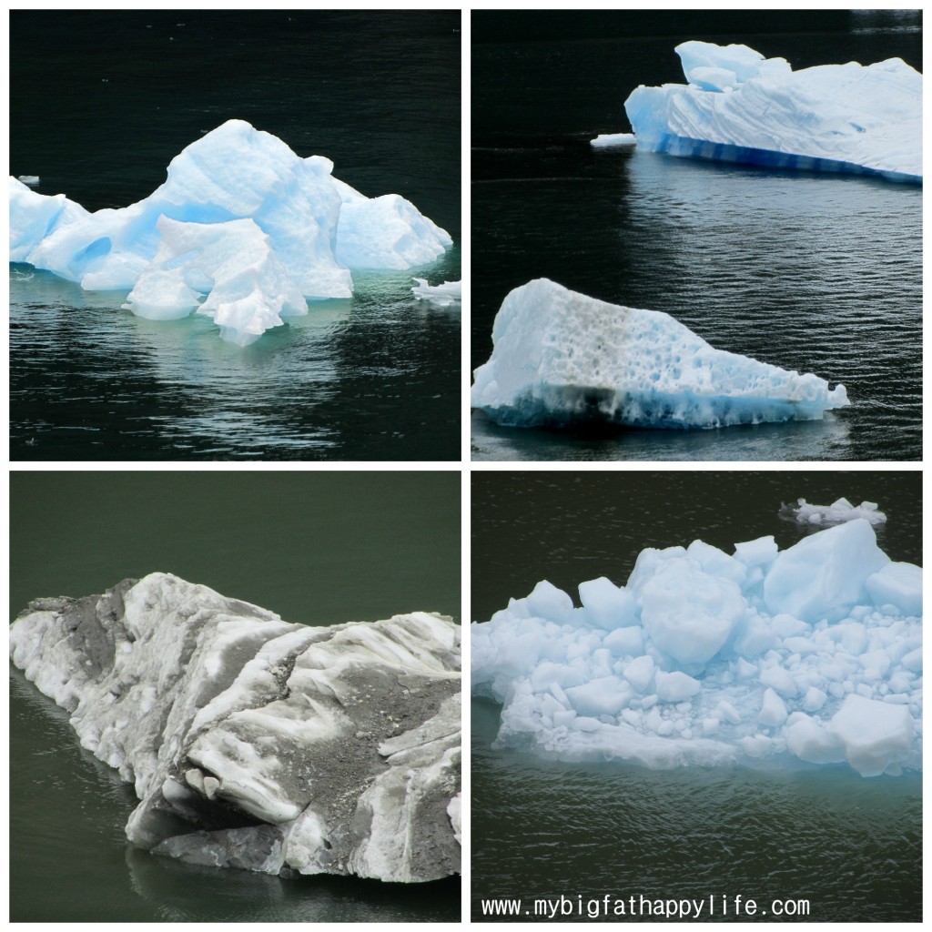 Cruising Tracy Arm Fjord, Alaska #alaska #glacier #iceberg | mybigfathappylife