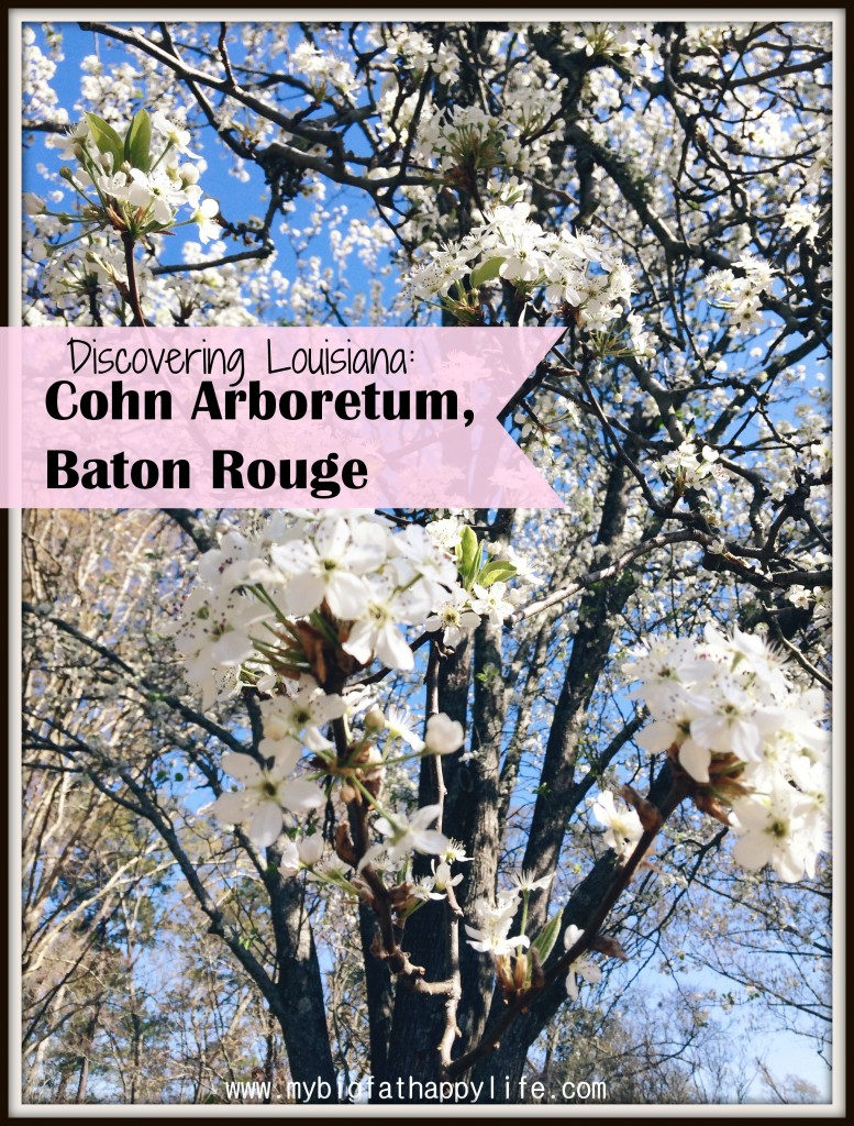 Discovering Louisiana: Cohn Arboretum in Baton Rouge #cohnarboretum #batonrouge #louisiana | mybigfathappylife.com