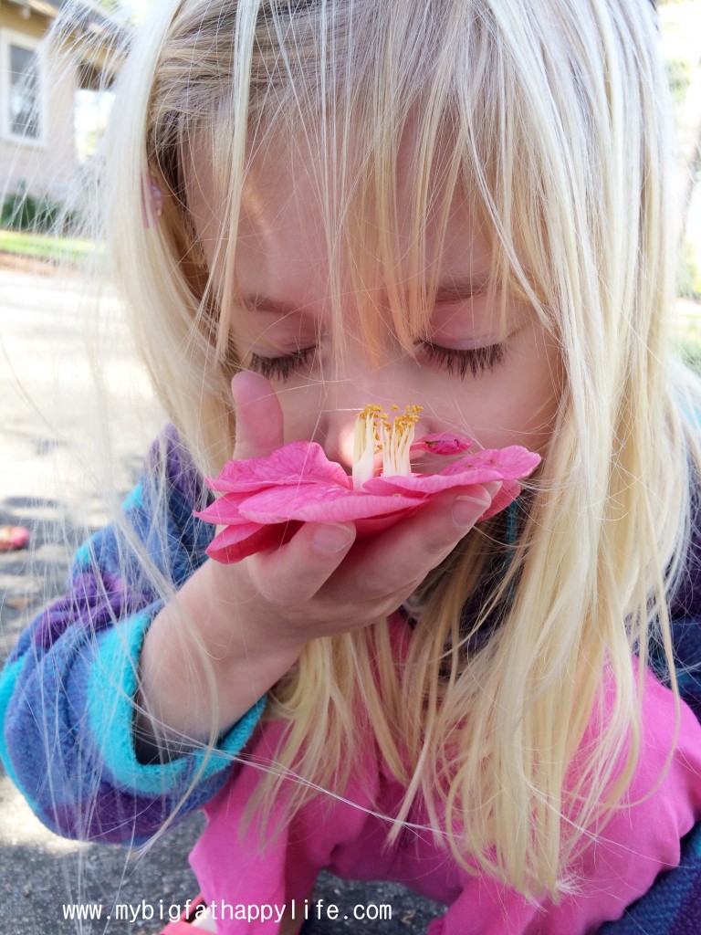 Discovering Louisiana: Cohn Arboretum in Baton Rouge #cohnarboretum #batonrouge #louisiana | mybigfathappylife.com