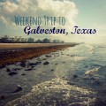 Weekend in Galveston, Texas #Galveston #Texas # Beach #MoodyGardens #Aquarium #HolidayInnVacationClub | mybigfathappylife.com