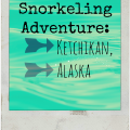 Snorkeling Adventure in Ketchikan Alaska #snorkeling #alaska #disneycruiseline | mybigfathappylife.com