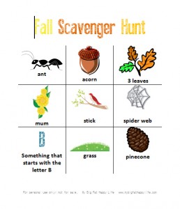 Fall Scavenger Hunt with FREE Printable #fall #outside #kidsactivity | mybigfathappylife.com