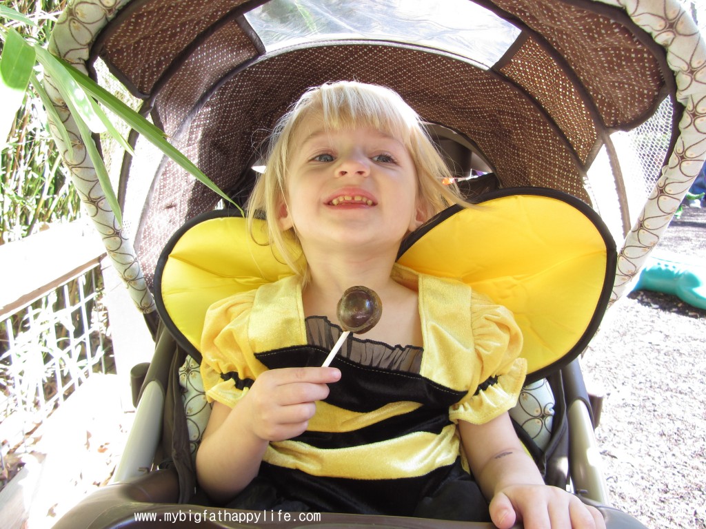 Boo at the Zoo #BatonRouge #Louisiana #BREC #Halloween #fall | mybigfathappylife.com