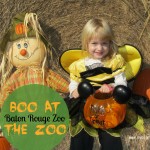 Boo at the Zoo #BatonRouge #Louisiana #BREC #Halloween #fall | mybigfathappylife.com