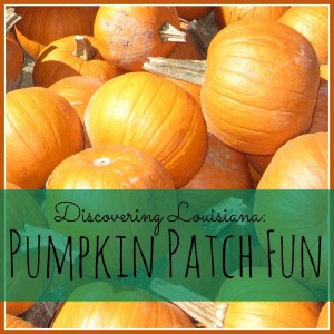 Discovering Louisiana: Pumpkin Patch Fun #mrsheatherpumpkinpatch #louisiana #fall #bucketlist | mybigfathappylife.com