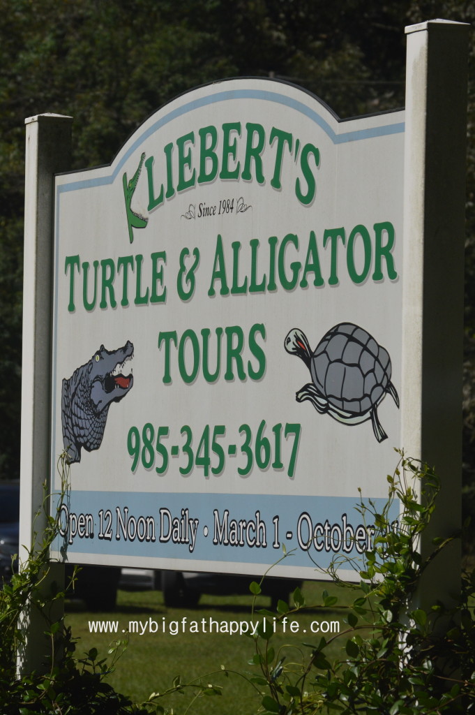 Discovering Louisiana: Kliebert's Alligator and Turtle Tour #Louisiana #alligatortour | mybigfathappylife.com