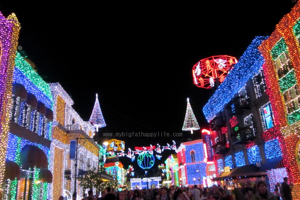 Hollywood Studios: Osborne Family Spectacle of Dancing Lights #WaltDisneyWorld #DisneyWorld #Christmas #OsborneFamily | mybigfathappylife.com