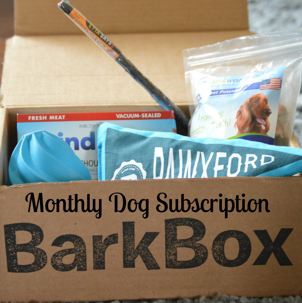 Barkbox Subscription Box: September Unboxing
