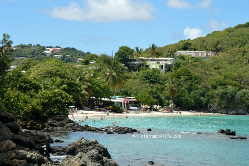 A day at Coral World in St. Thomas, USVI #caribbean #usvirginisland | mybigfathappylife.com