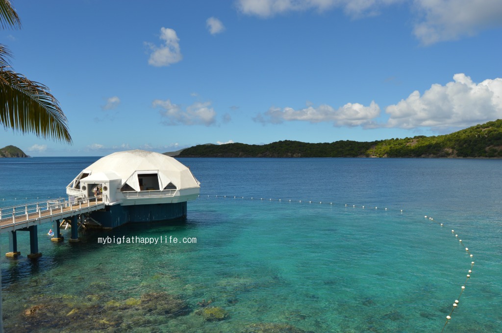 A day at Coral World in St. Thomas, USVI #caribbean #usvirginisland | mybigfathappylife.com