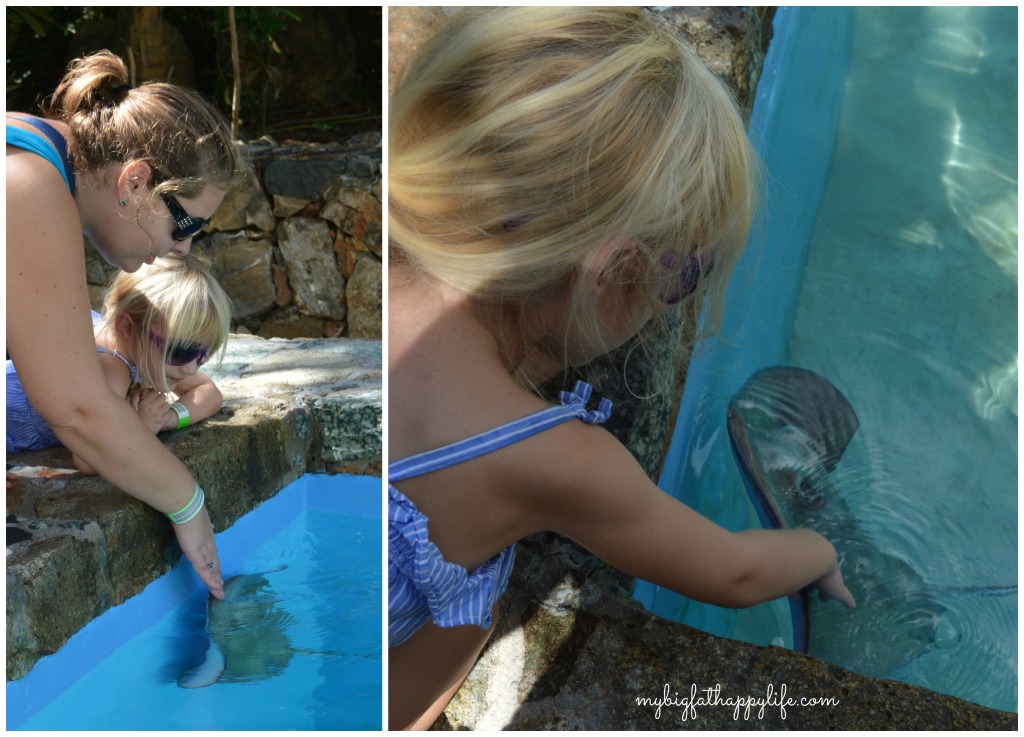 A day at Coral World in St. Thomas, USVI #caribbean #usvirginisland | mybigfathappylife.com