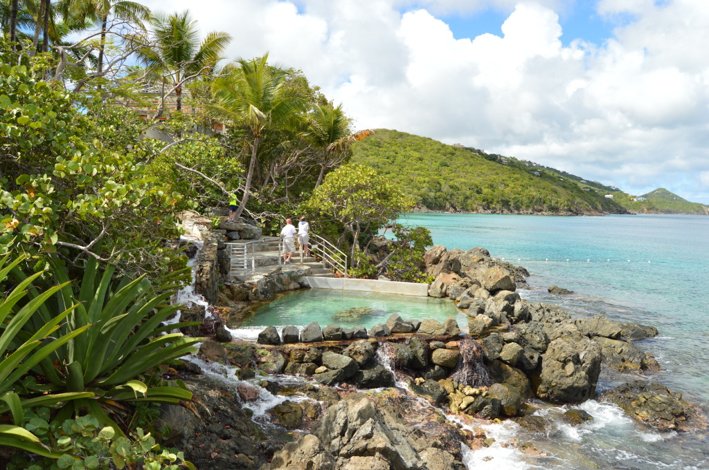 A day at Coral World in St. Thomas, USVI #caribbean #usvirginisland | mybigfathappylife.com