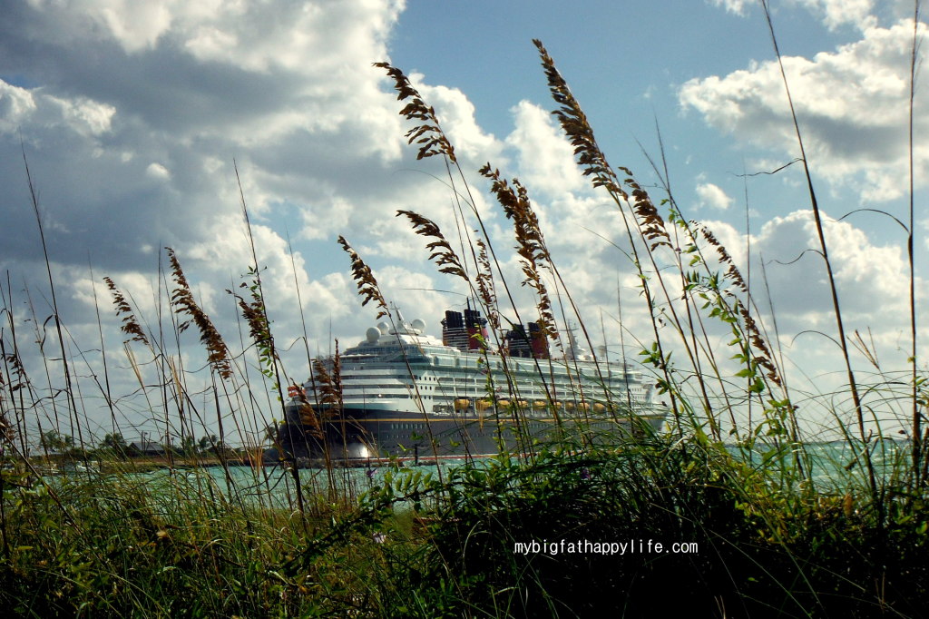 11 Things to Know About Castaway Cay - Disney's Private Island; Disney Cruise Line; Wonder, Magic, Fantasy and Dream | mybigfathappylife.com